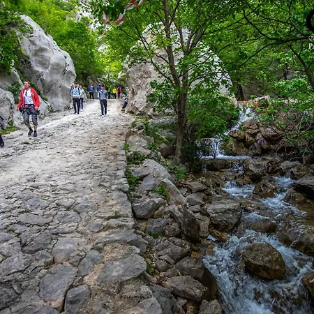 Katica-u Blizini Plaze 